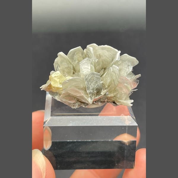 Scheelite crystal from Xuebaoding, 3.5 cm across, raw mineral specimen, photo 2 of 6