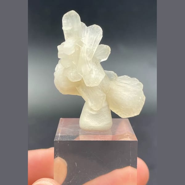 Bow-tie stilbite crystal cluster from India — complete view