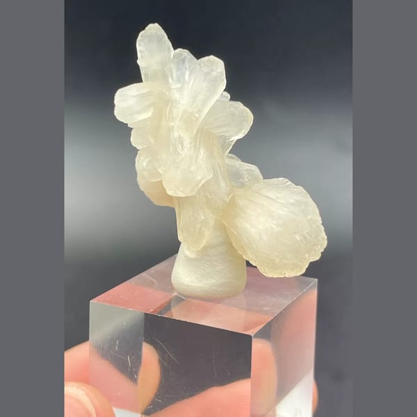 Bow-tie stilbite crystal cluster from India — alternate view