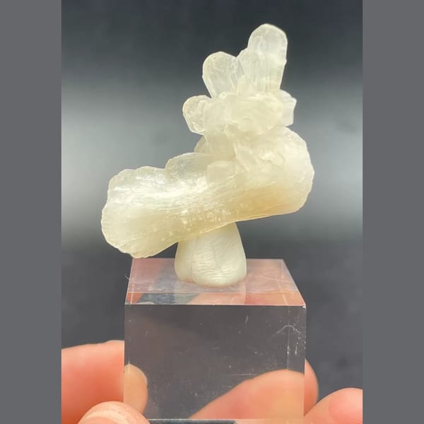 Bow-tie stilbite crystal cluster from India — detail view