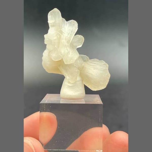 Bow-tie stilbite crystal cluster from India — detail view