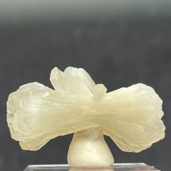 Jade-toned bow-tie stilbite sheaf from India on a clear stand — complete view