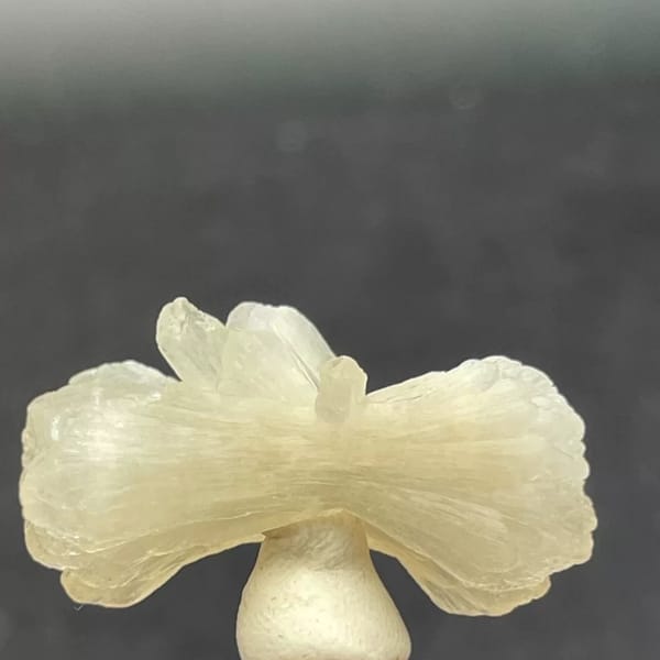 Jade-toned bow-tie stilbite sheaf from India on a clear stand — alternate view