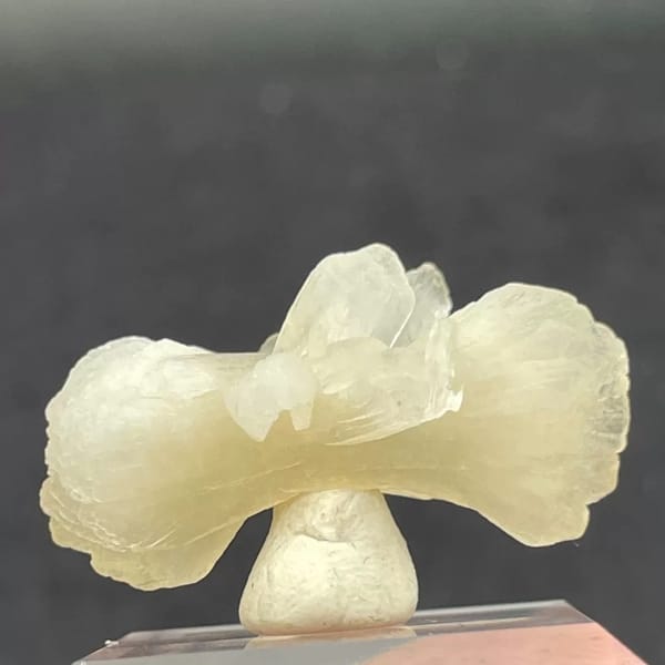Jade-toned bow-tie stilbite sheaf from India on a clear stand — alternate view