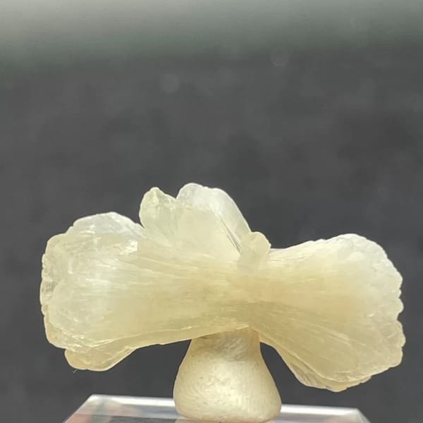 Jade-toned bow-tie stilbite sheaf from India on a clear stand — detail view