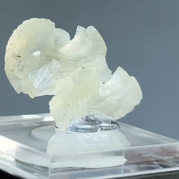 Translucent pale cream-green double bow-tie stilbite crystal from Nashik, Maharashtra, India — complete view