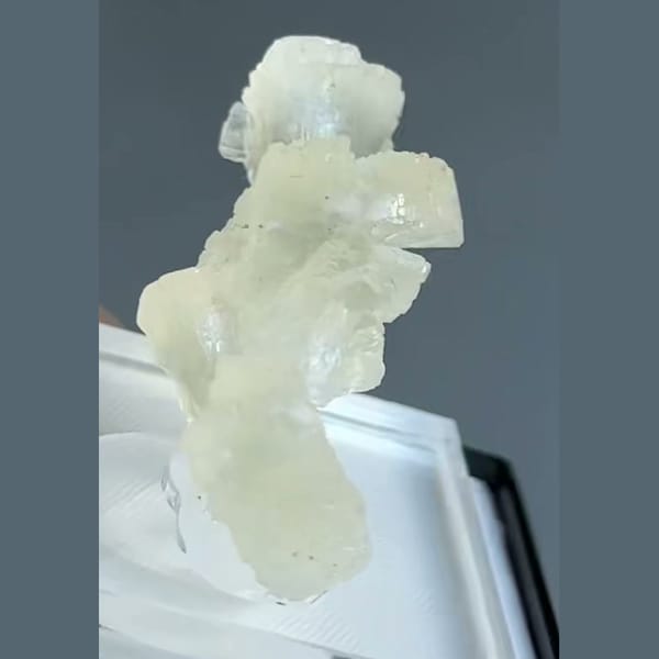 Translucent pale cream-green double bow-tie stilbite crystal from Nashik, Maharashtra, India — alternate view