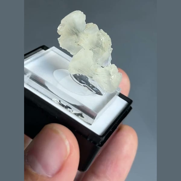 Translucent pale cream-green double bow-tie stilbite crystal from Nashik, Maharashtra, India — detail view