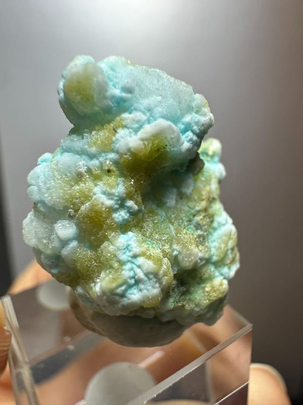 Gypsum, individual mineral specimen view 2 for a mineral collection
