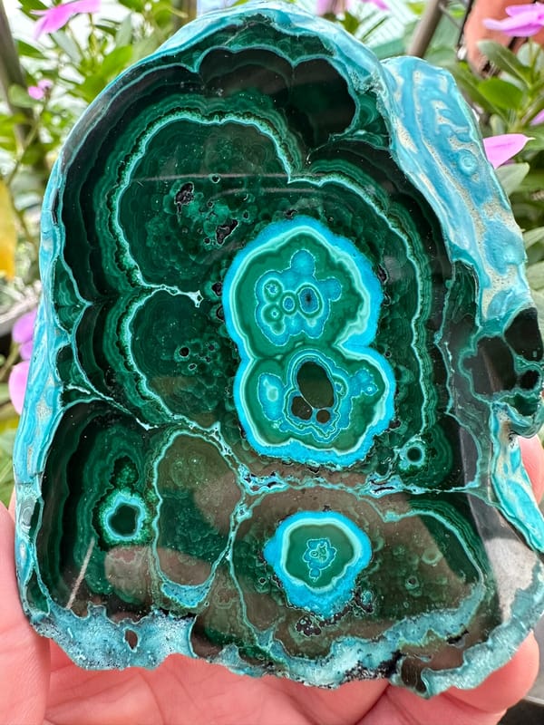 fetta di Chrysocolla lucidata dal Congo
