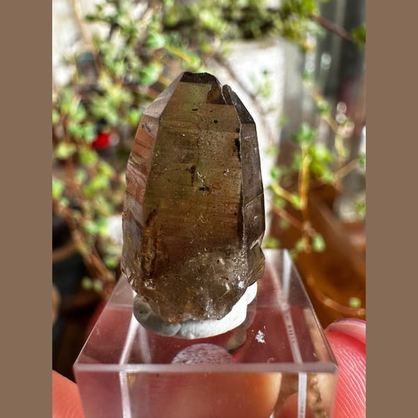 Schorl Embedded in Smoky Quartz - complete view
