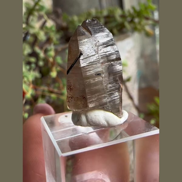 Schorl Embedded in Smoky Quartz - alternate view