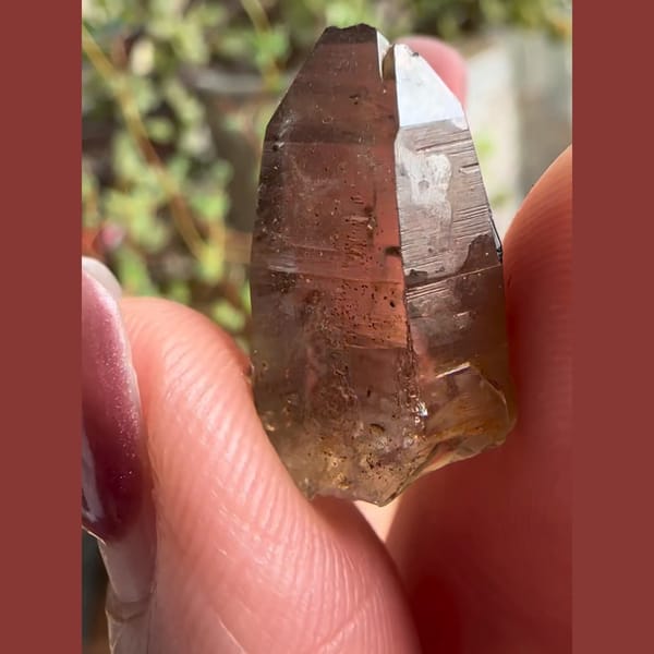 Schorl Embedded in Smoky Quartz - alternate view