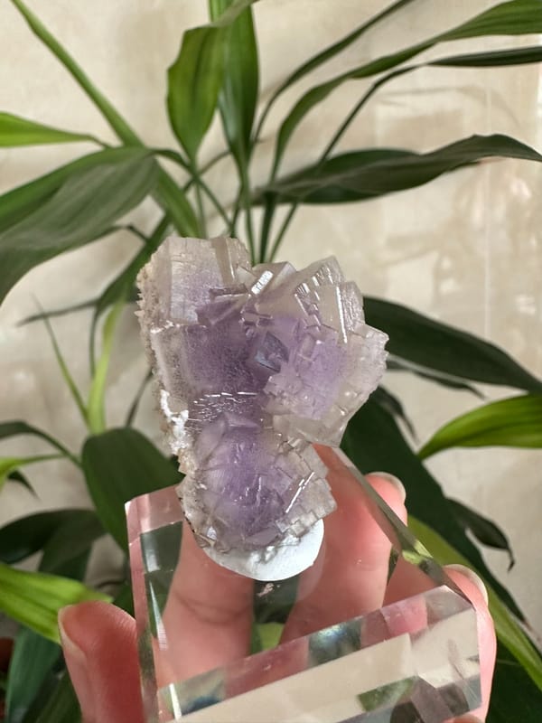 Fluorite from Yunnan, China, individual mineral specimen view 1