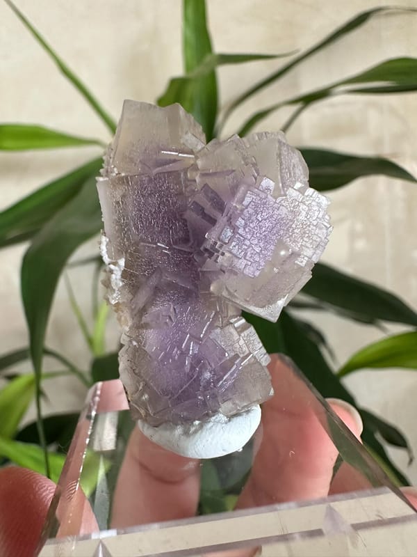 Fluorite from Yunnan, China, individual mineral specimen view 2