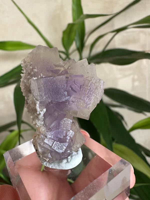 Fluorite from Yunnan, China, individual mineral specimen view 3