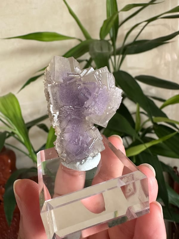 Fluorite from Yunnan, China, individual mineral specimen view 4