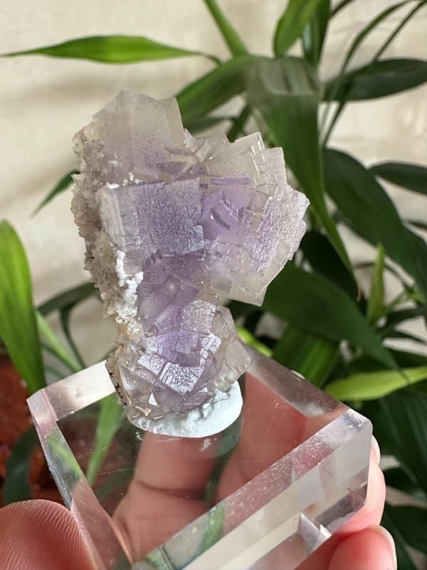 Fluorite from Yunnan, China, individual mineral specimen view 5