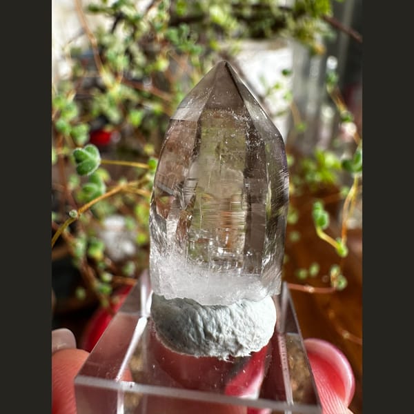 Transparent Smoky Quartz Point from Pakistan - complete view