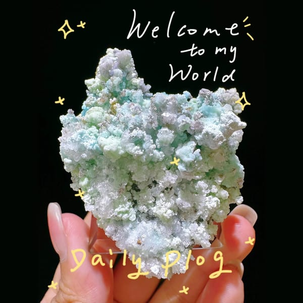 Mint-Green Garden Creedite Display - complete view