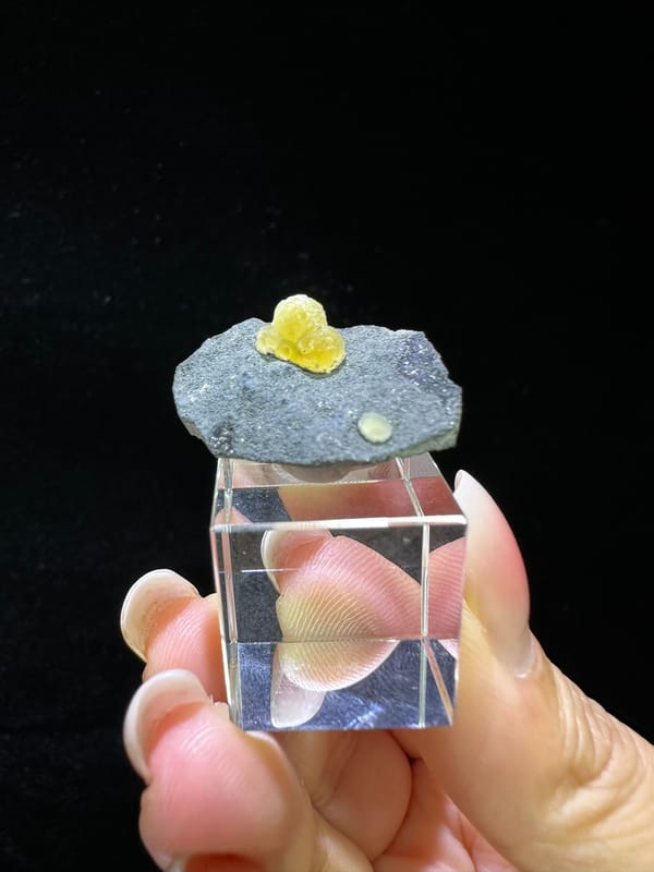 Small golden yellow calcite growth on gray matrix from Zhejiang China, specimen view 1