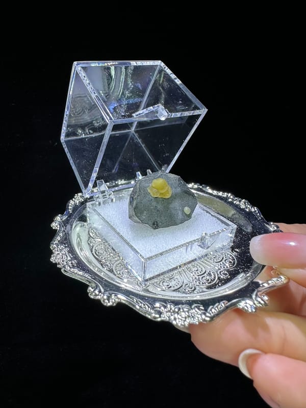 Small golden yellow calcite growth on gray matrix from Zhejiang China, specimen view 2
