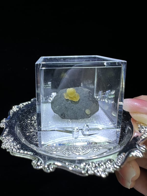 Small golden yellow calcite growth on gray matrix from Zhejiang China, specimen view 3