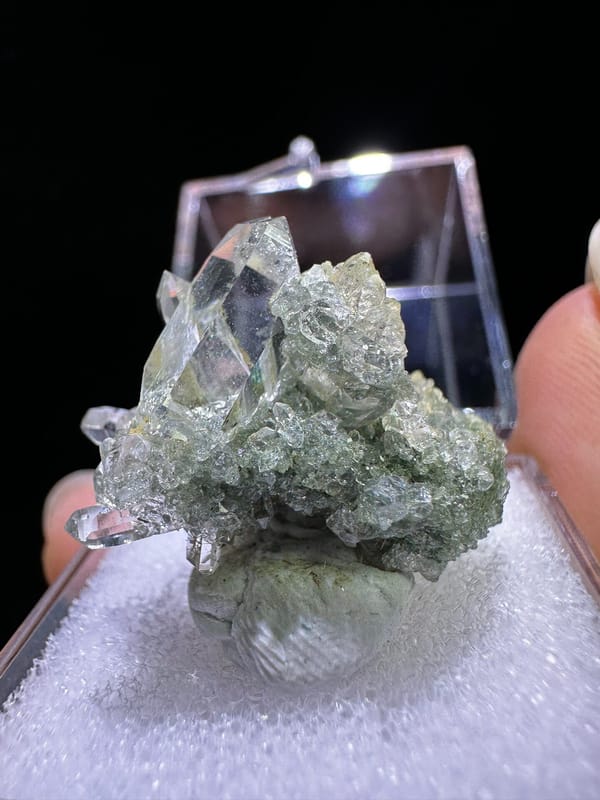Quartz from Himalaya, individual mineral specimen view 5