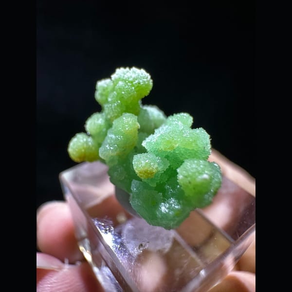 Green Pyromorphite, Mimetite and Apatite Miniature - complete view