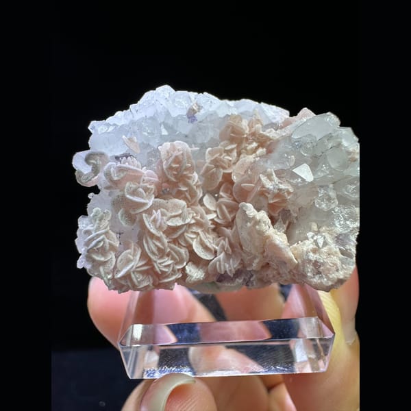 Rhodochrosite Rosettes with Fluorite and Pyrite - complete view