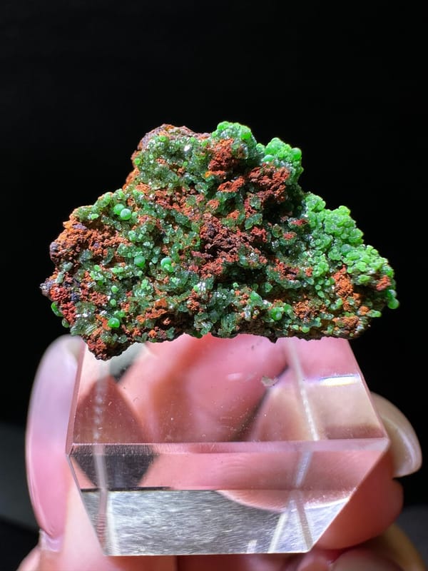 Conichalcite (source-recorded), individual mineral specimen view 1 for a mineral collection