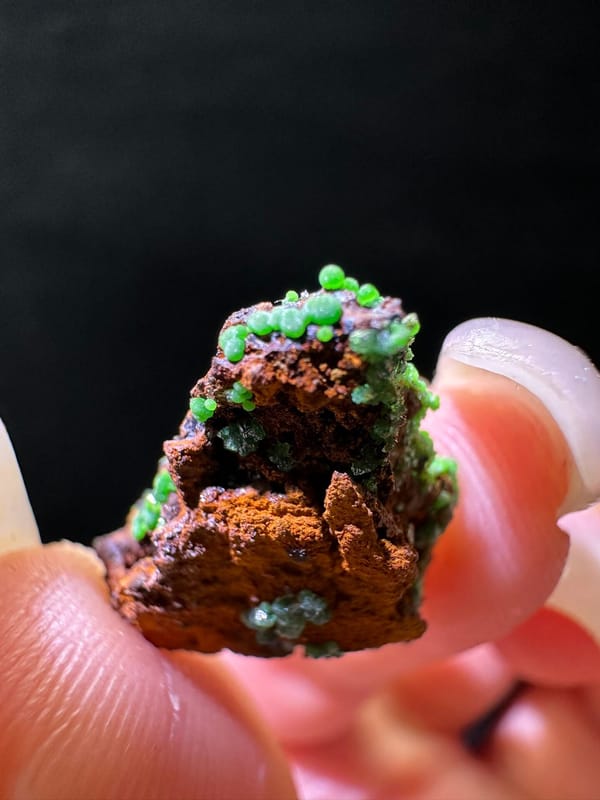 Conichalcite (source-recorded), individual mineral specimen view 2 for a mineral collection