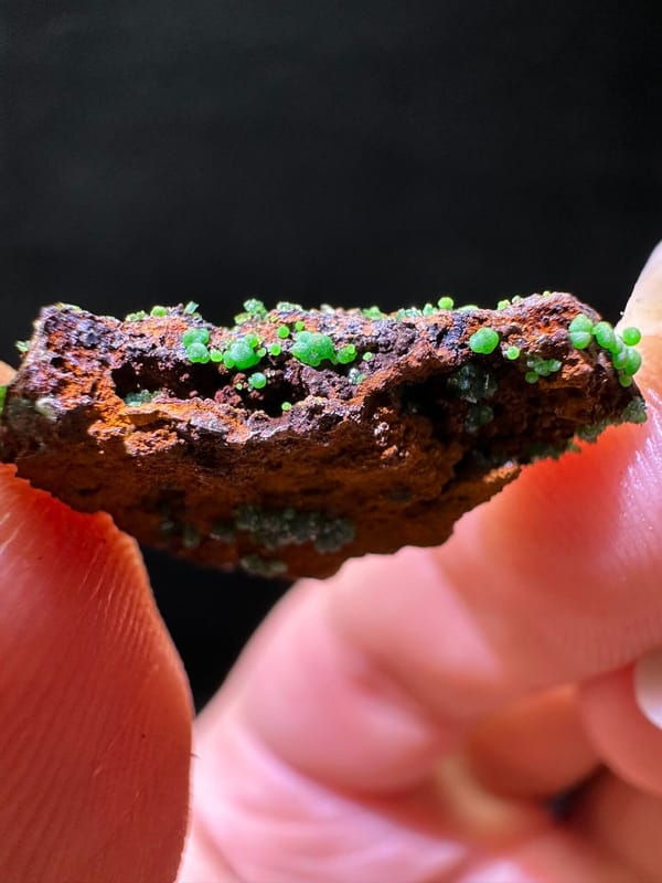 Conichalcite (source-recorded), individual mineral specimen view 3 for a mineral collection