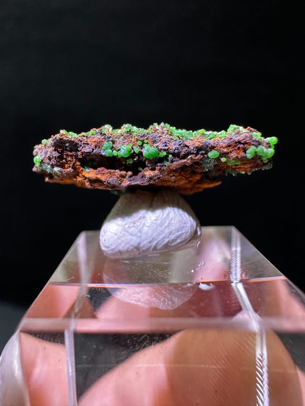 Conichalcite (source-recorded), individual mineral specimen view 4 for a mineral collection