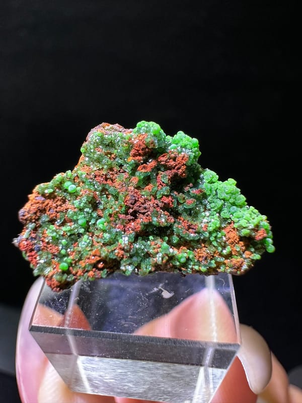 Conichalcite (source-recorded), individual mineral specimen view 5 for a mineral collection