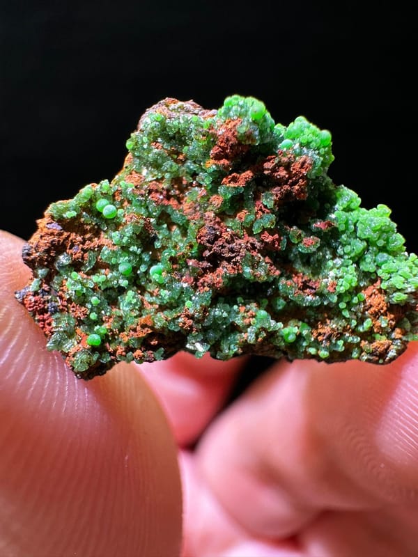 Conichalcite (source-recorded), individual mineral specimen view 6 for a mineral collection
