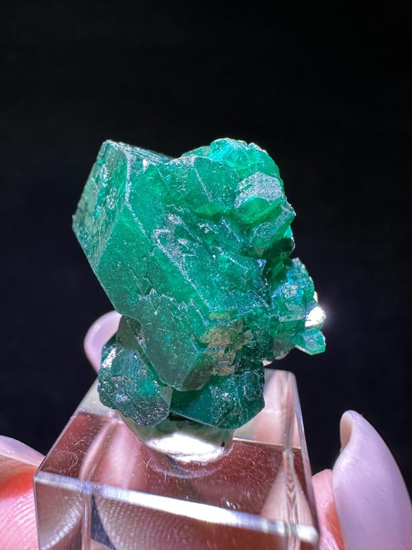 Dioptase from DR Congo, individual mineral specimen view 2
