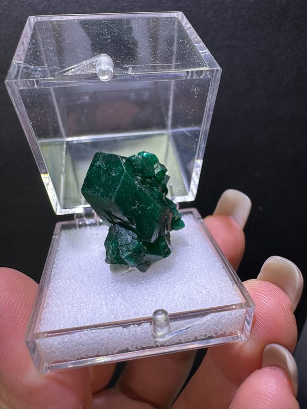 Dioptase from DR Congo, individual mineral specimen view 4