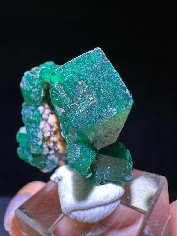Dioptase from DR Congo, individual mineral specimen view 5