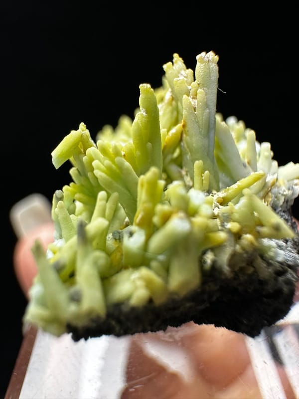 Pyromorphite, individual mineral specimen view 3 for a mineral collection
