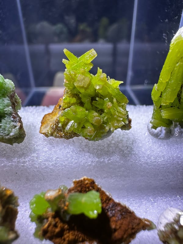 Pyromorphite, individual mineral specimen view 2 for a mineral collection