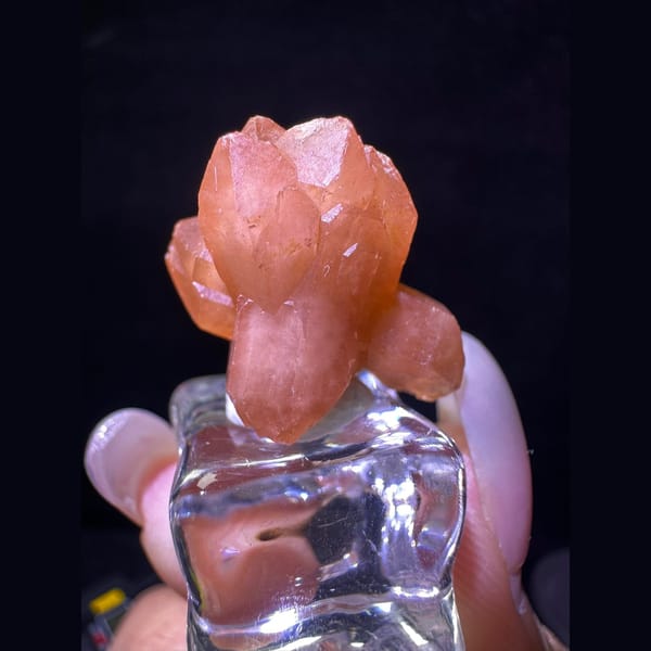 Rose Quartz Crystal Cluster from Madagascar - complete view
