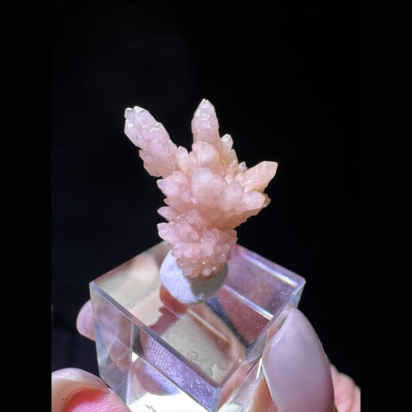 Pink Quartz Coral Cluster from Peru - complete view