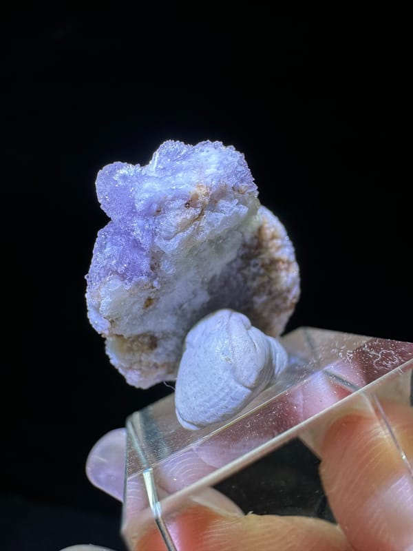 Creedite from Guizhou, China, individual mineral specimen view 4