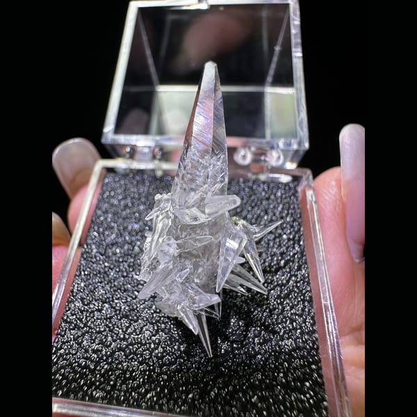 Clear Dogtooth Calcite Spray from Pakistan - complete view
