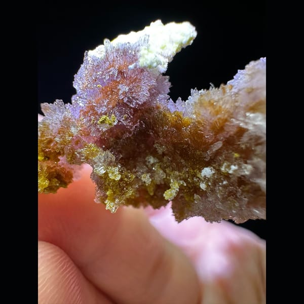 Peach, Lavender and Honey Creedite Branch - complete view