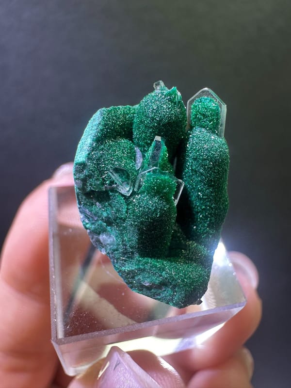 Malachite from DR Congo, individual mineral specimen view 2