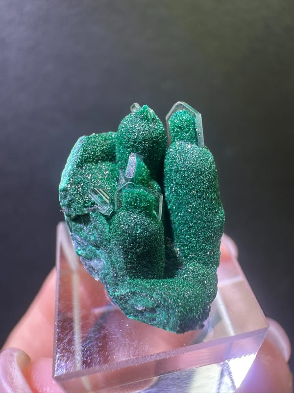 Malachite from DR Congo, individual mineral specimen view 4