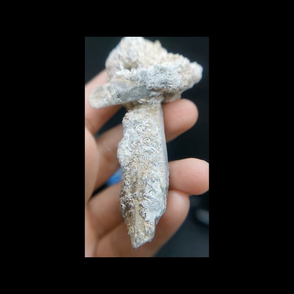 Mushroom-shaped quartz and calcite from Inner Mongolia — complete front view