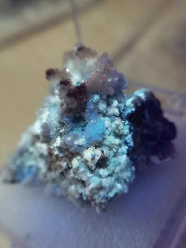 Fluorite from Guizhou, China, individual mineral specimen view 7